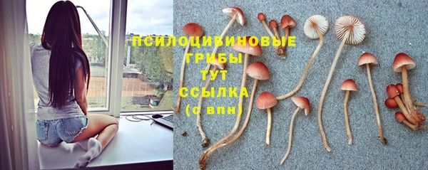 jwh Бугульма